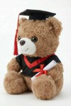 Absolventen-Teddy, Abschlussgeschenk, Plüschbär Abschluss, Schulabschluss Geschenk, Studienabschluss Andenken, Kuscheltier Absolvent, Doktorhut Teddy, Plüschtier mit Urkunde, Geschenk zur Graduation, Erinnerung Bildungsabschluss