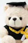 Absolventen-Teddybär hellbeige im Talar mit Doktorhut