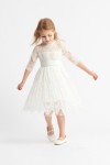 festliche kleider mädchen, mädchen kleider für hochzeit, kommunionkleider mädchen, blumenmädchenkleider, kleid, baby kleid festlich, mädchenkleider, 